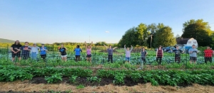 How can I evaluate soil microbial biomass?