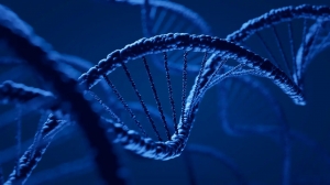 DNA Repair Drugs Market to Surge on Rising Cancer Prevalence