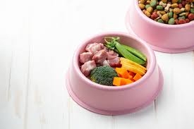 Pet Food in Riverview | Smart Feeding Tips 