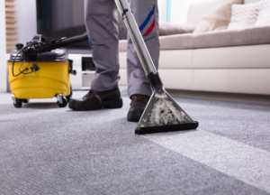 Seven Benefits of Using a Professional Carpet Cleaner