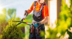 Premium Landscape Services in Saudi Arabia | Choose the Best for Your Project