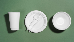 Biodegradable Plastic Manufacturing Plant Report, Project Economics, Setup Cost and Requirements