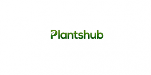 Breathe Life Into Your Space with Beautiful Outdoor House Plants from Plantshub