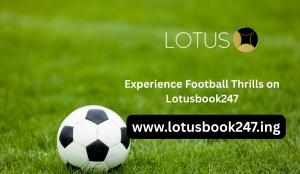 Feel the Football Frenzy with Lotusbook247