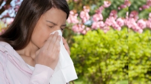 Seasonal Allergic Rhinitis Market Will Grow Owing to Biologics