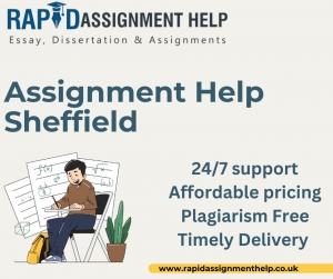 Sheffield’s Top Academic Experts Reveal Secrets to A+ Assignments