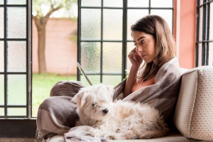 How to Help Your Pet by Treating Dog Allergies at Home