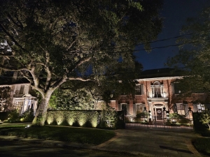 9 Ways Landscape Lighting Adds Beauty, Safety, and Function