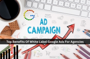 Top Benefits Of White Label Google Ads For Agencies