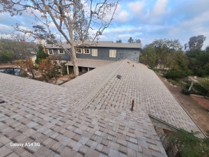 Choosing the Right Los Angeles Roofing Company: What to Expect
