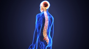 Why Picking a Specialized Spinal Hospital in Dubai Makes All the Difference