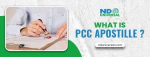 What is PCC Apostille? How to Get It Done Without Hassle