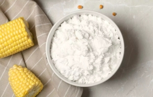 Budget for Starting Corn Starch Manufacturing Plant Business