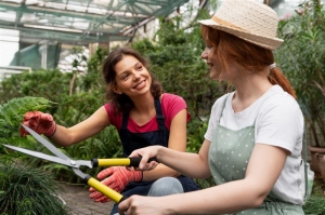 Expert Landscaping Tips for Beginners