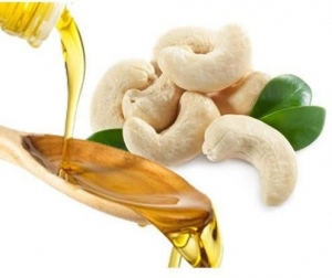 Cashew Nut Shell Oil Market Future Investment Opportunities