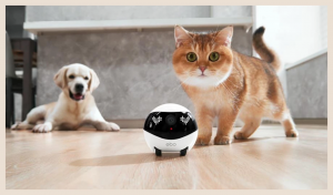 Ebo Air Pet Robot Movable Camera Review: The Ultimate Smart Pet Companion for US Pet Owners