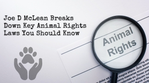 Joseph Dee McLean Breaks Down Key Animal Rights Laws You Should Know