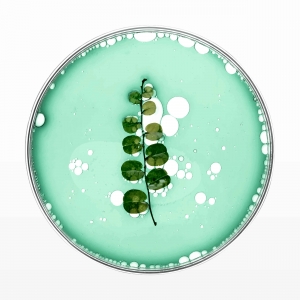 From Theory to Application: How Barium Sulphite-Lancer is Shaping Modern Chemical Research