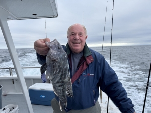 Eco-Tourism in Chiba: The Role of Kisarazu Sea Bass in Local Waters