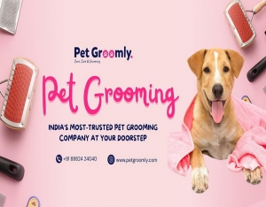 Top Dog Groomers Kolkata | Dog Grooming Near Me – Pet Groomly