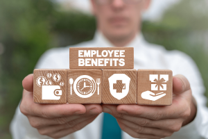 What Is The Process Of Setting Up An Employee Benefit Plan?