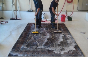 How Carpet and Rug Cleaning in Flagstaff AZ Protects Your Investment