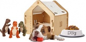 Pet House: An Ultimate Guide to Building the Perfect Shelter
