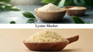 Lysine Market Size, Share, Market Forecast and Strategic Opportunities by 2032