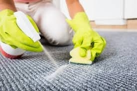 Non-Toxic Carpet Stain Remover Manufacturing Plant Report, Project Details, and Requirements