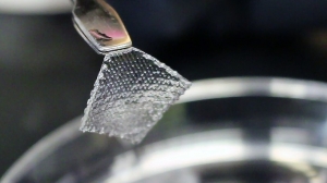 Hydrogel Market Trends: Innovations and Growth Opportunities