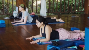 The Spiritual and Cultural Experience of 500 Hour Yoga Teacher Training in Thailand