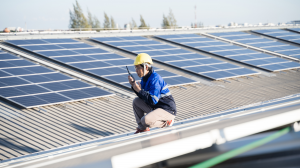 Conceptualizing Solar Installation Systems In Singapore: Their Policies and Practical Understanding  