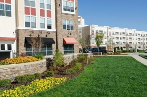 Enhancing Commercial Spaces in Port Allen LA with Value-Driven Landscaping