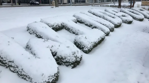 Why do Windsor residents never skip the weather app check?