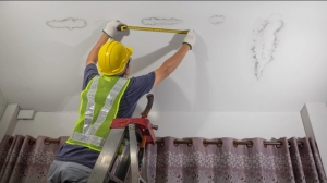 Don’t Let Mold Destroy Your Roof—Top Tips for Safe Attic Mold Removal