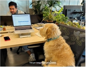 Top coworkings en Madrid: espacios ideales para trabajar con estilo y productividad