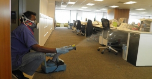 Keep Your Home Safe: Expert Termite Control in Chandigarh