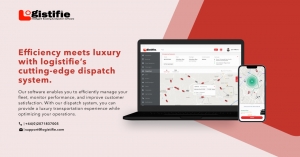 Why Customer Reviews Matter for Taxi Companies