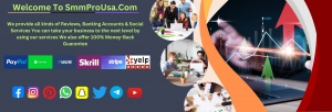 Get a Verified Stripe Account 100% Working & Trusted