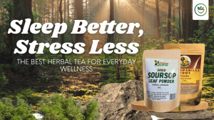 Sleep Better, Stress Less: The Best Herbal Tea for Everyday Wellness