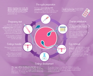 Best Time to Start IVF Treatment for Optimal Results