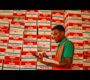 Freight Shipping vs. Cargo: Key Differences Every Shipper Should Know – Here's How to Check