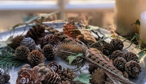 How Natural Home Decor Creates Comfort and Calm