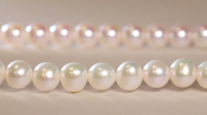 Freshwater Pearl