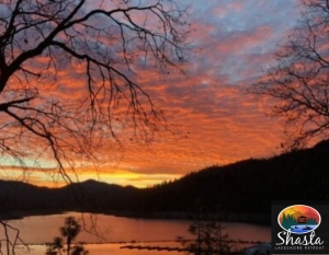 Tranquil Waters and Timely Updates: Planning the Perfect Lakeside Escape at Lake Shasta