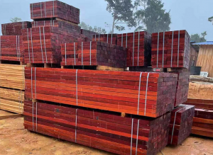 Sustainable Timber: Building a Greener Future with Responsible Wood Use Introduction