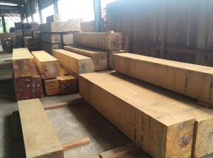 The Ultimate Guide to Wenge Wood: Characteristics, Uses, and Care