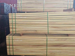 Okoume Timber: Characteristics, Uses, Sustainability, and Market Insights of Central Africa’s Premium Hardwood