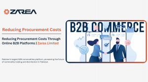 Reducing Procurement Costs Through Online B2B Platforms | Zarea Limited