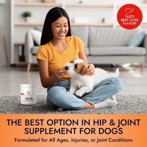 The Smartest Way to Support Pet Wellness is a Multivitamin for Dogs